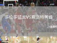 多倫多猛龍VS夏洛特黃蜂