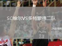 SC維爾VS多特蒙德二隊