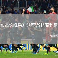 布杰約維采迪納摩VS特普利斯