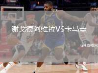 謝戈德阿維拉VS卡馬圭