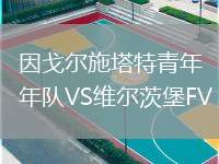 因戈爾施塔特青年隊VS維爾茨堡FV