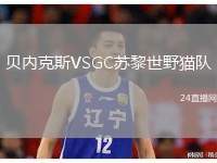 貝內(nèi)克斯VSGC蘇黎世野貓隊(duì)