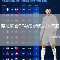 魔法聯(lián)合TFAVS羅切達(dá)爾流浪