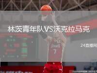 林茨青年隊(duì)VS沃克拉馬克