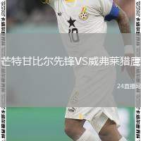 芒特甘比爾先鋒VS威弗萊獵鷹