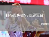 科布漫步者VS費(fèi)恩夏普