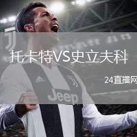 托卡特VS史立夫科
