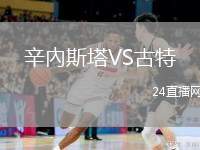 辛內(nèi)斯塔VS古特