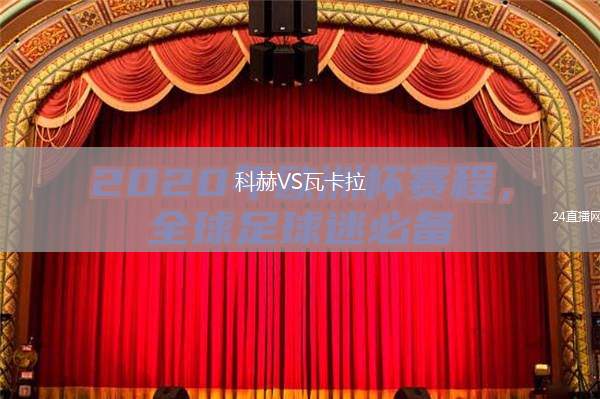 科赫VS瓦卡拉
