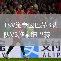 TSV施泰因巴赫B隊(duì)VS施泰納巴赫