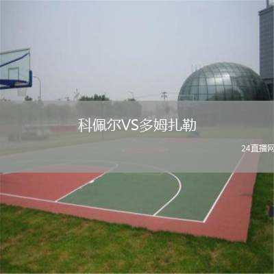 科佩爾VS多姆扎勒