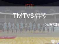 TMTVS福琴