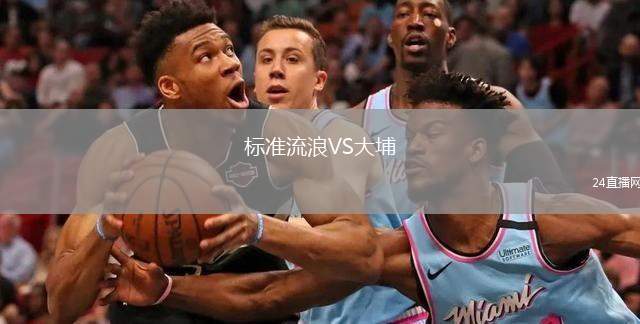 標準流浪VS大埔