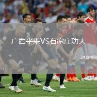 廣西平果VS石家莊功夫