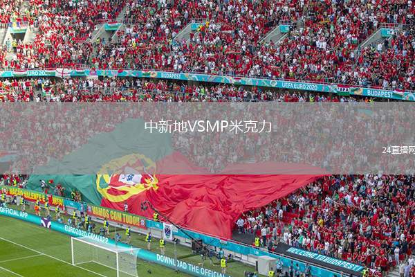 中新地VSMP米克力