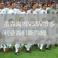 貢森海姆VSSV維多利亞海科斯海姆