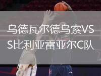 烏德瓦爾德烏索VS比利亞雷亞爾C隊(duì)