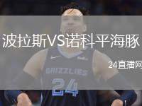 波拉斯VS諾科平海豚