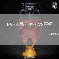 PVF人民公安FCVS平福