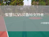 智慧SCVS貝魯特支持者