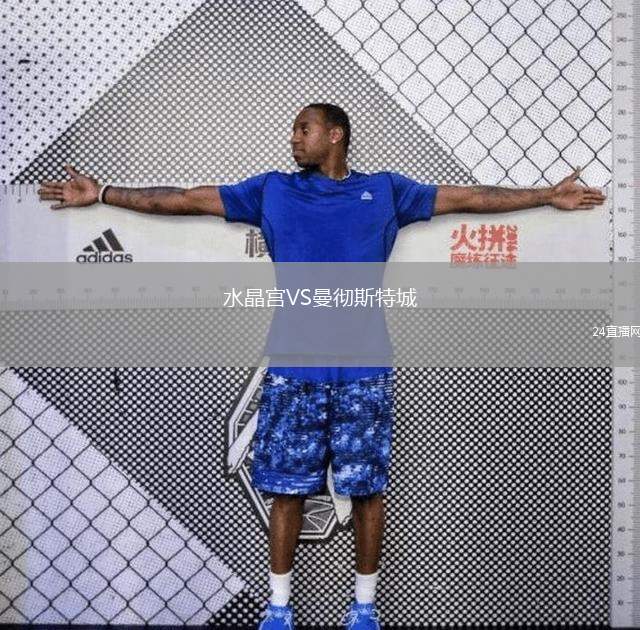 水晶宮VS曼徹斯特城