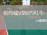 紐約城VS紐約紅牛