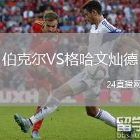 伯克爾VS格哈文燦德