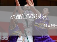 水晶宮VS狼隊(duì)