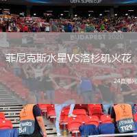 菲尼克斯水星VS洛杉磯火花
