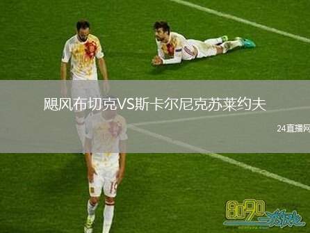 颶風(fēng)布切克VS斯卡爾尼克蘇萊約夫