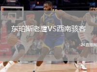 東珀斯老鷹VS西南駭客