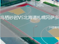 鳥棲砂巖VS北海道札幌岡薩多