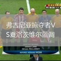 弗吉尼亞掠奪者VS夏洛茨維爾藍(lán)調(diào)
