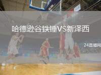 哈德遜谷鐵錘VS新澤西