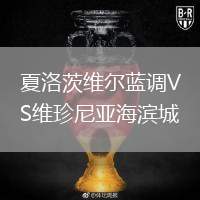 夏洛茨維爾藍(lán)調(diào)VS維珍尼亞海濱城