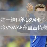 第一維也納1894業(yè)余VSWAF布里吉特瑙