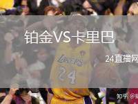 鉑金VS卡里巴