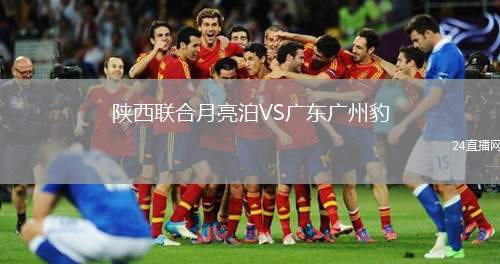 陜西聯(lián)合月亮泊VS廣東廣州豹