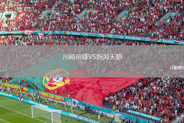 川崎前鋒VS新潟天鵝