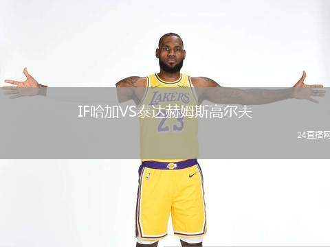 IF哈加VS泰達(dá)赫姆斯高爾夫