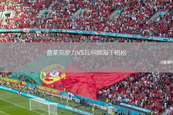 費萊克羅力VS瓦爾德海于格松