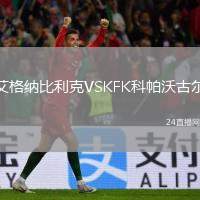 艾格納比利克VSKFK科帕沃古爾