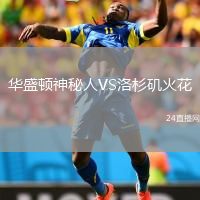 華盛頓神秘人VS洛杉磯火花