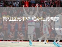 曼杜拉魔術(shù)VS珀斯紅背蜘蛛