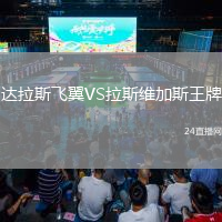 達(dá)拉斯飛翼VS拉斯維加斯王牌