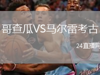 哥查瓜VS馬爾雷考古