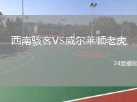 西南駭客VS威爾萊頓老虎