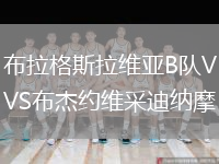 布拉格斯拉維亞B隊(duì)VS布杰約維采迪納摩