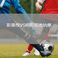 斯莫根VS明斯克迪納摩
