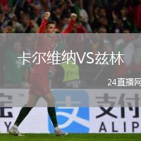 卡爾維納VS茲林